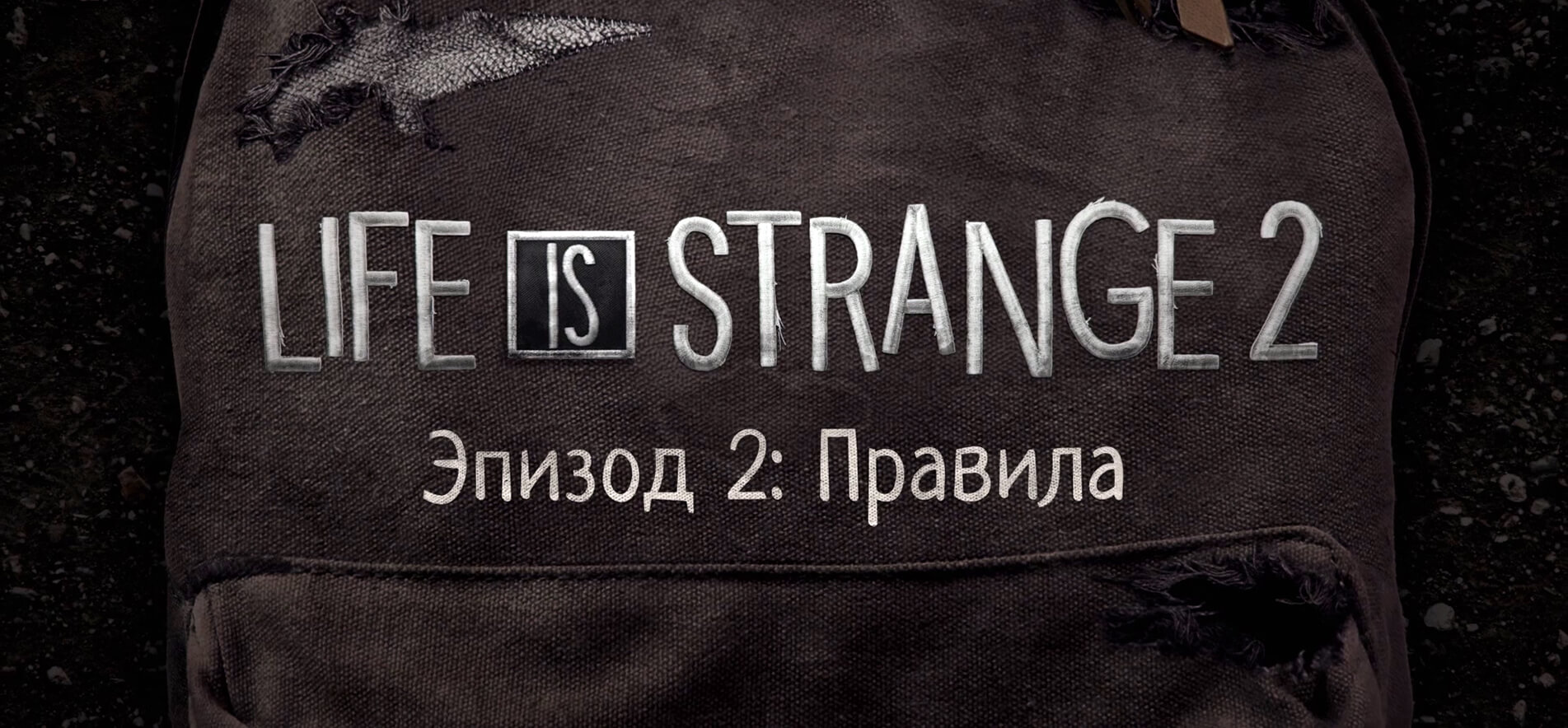 2-й эпизод Life is Strange 2 выйдет в январе (фото)