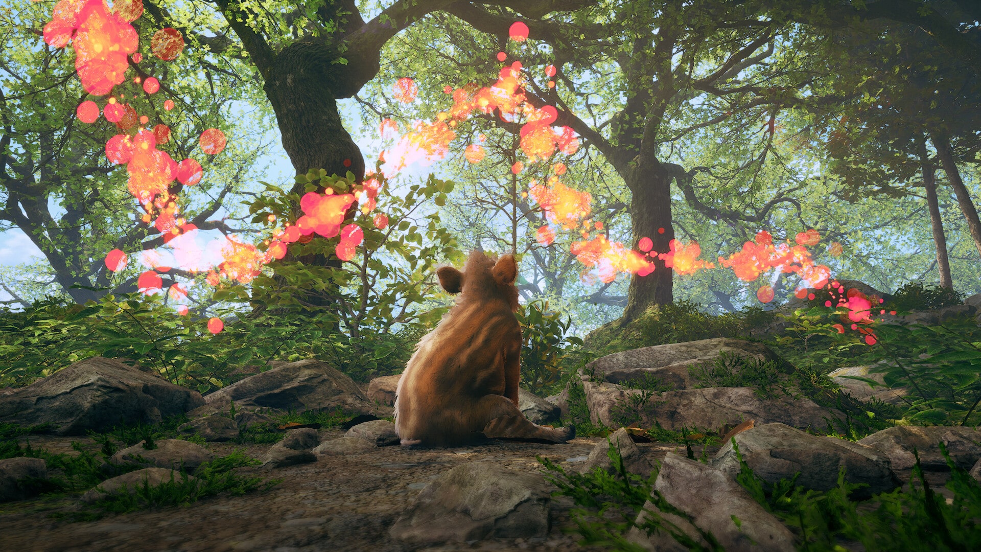 Adorable Adventures (фото)