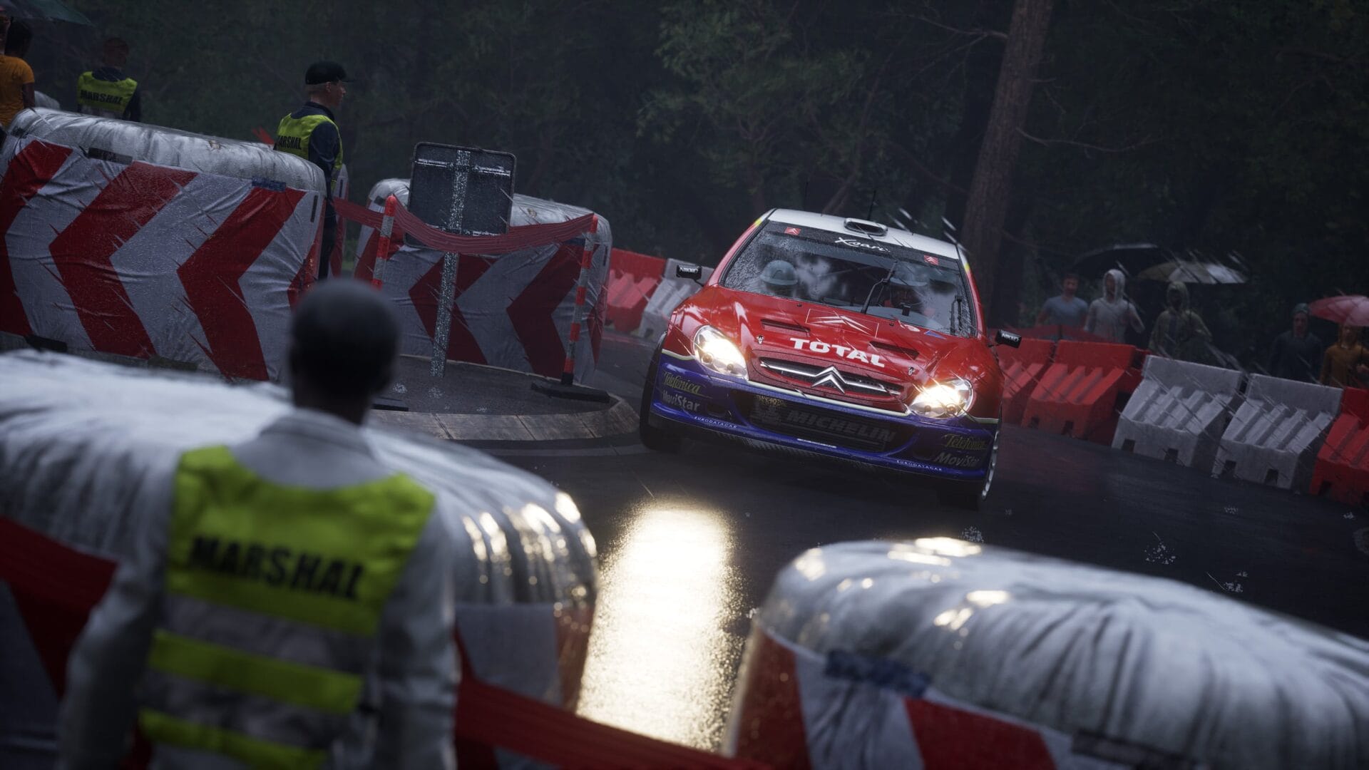 Assetto Corsa Rally (фото)