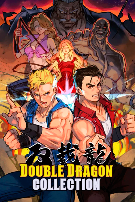 Double Dragon Collection (фото)