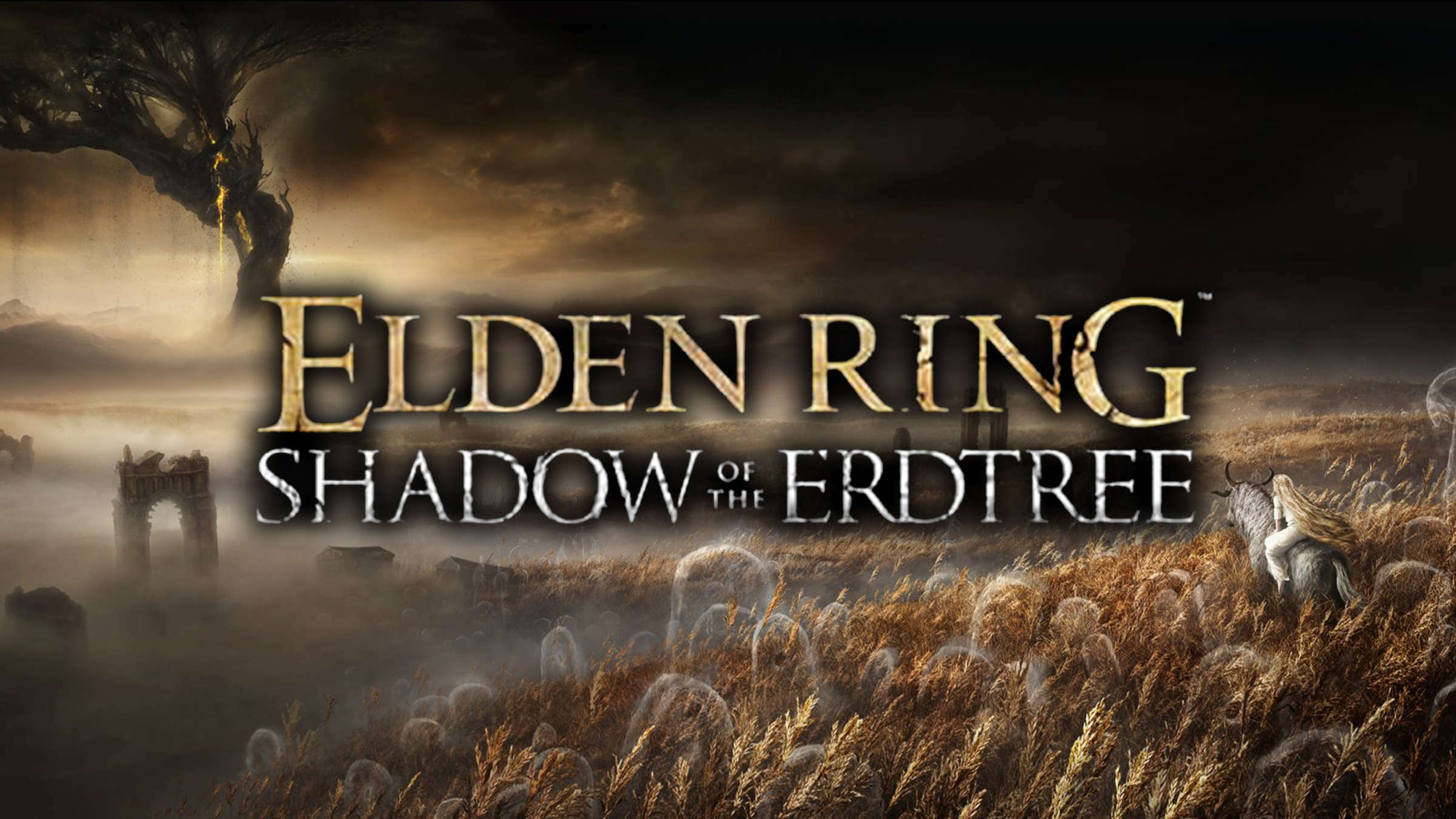 Elden ring dlc