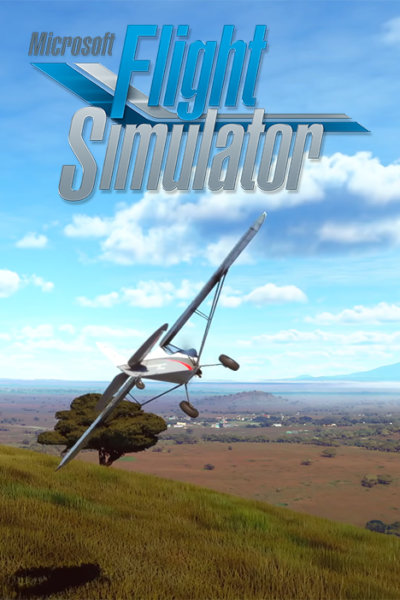 Microsoft Flight Simulator (2020) (фото)