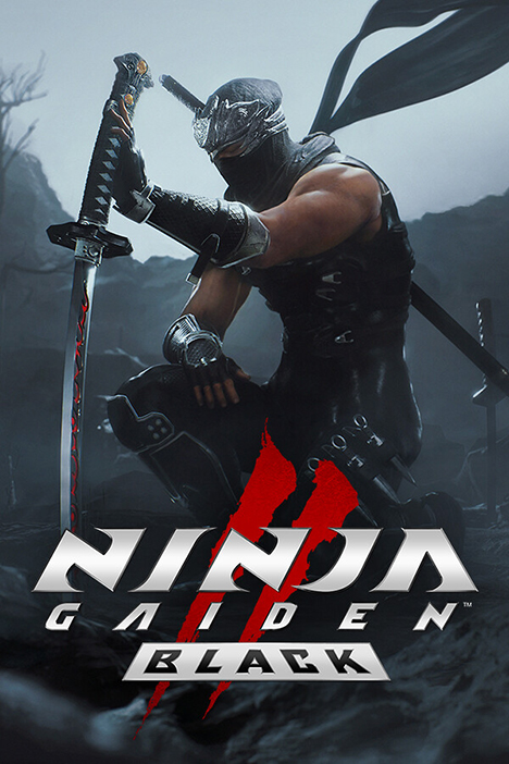 Ninja Gaiden 2 Black (фото)