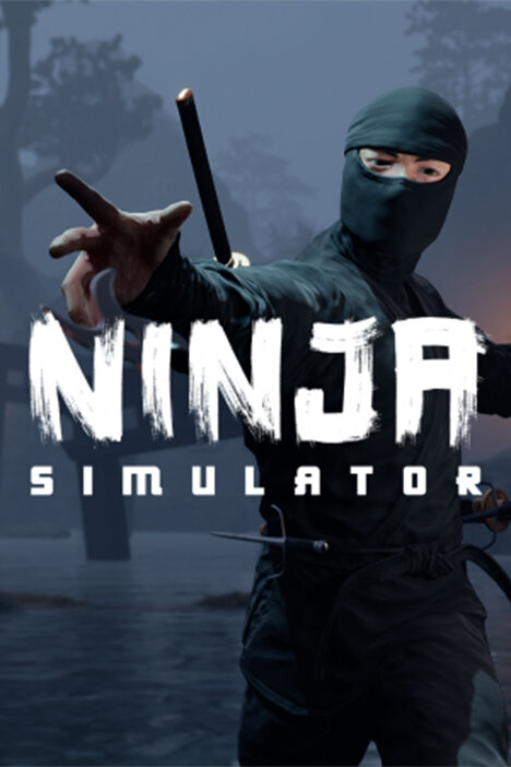 Ninja Simulator (фото)