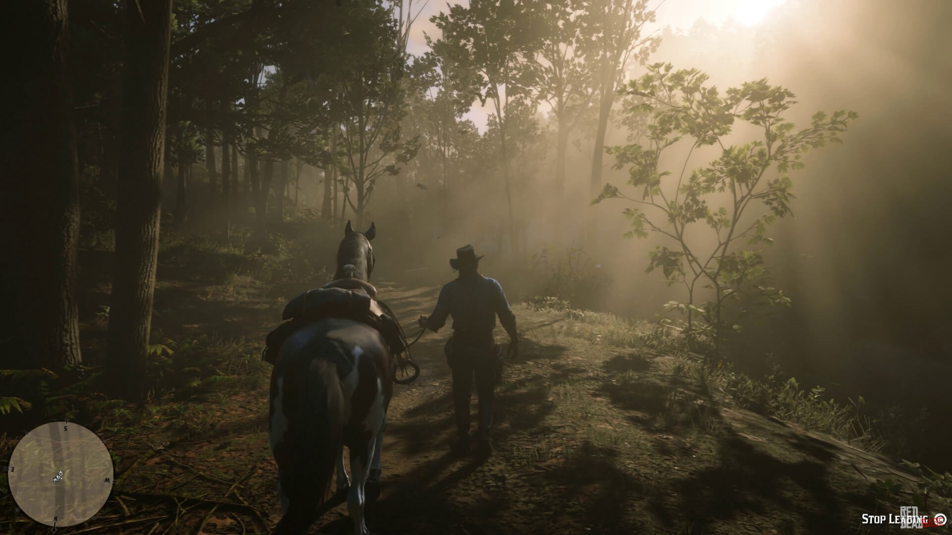 Red Dead Redemption 2 скриншот (фото)