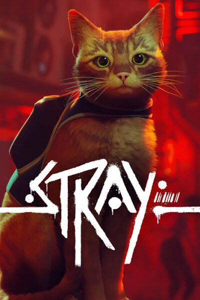 Stray (фото)