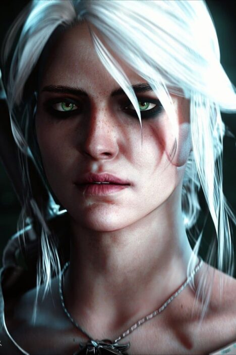 Ведьмак 3: Дикая Охота DLC3 (фото)